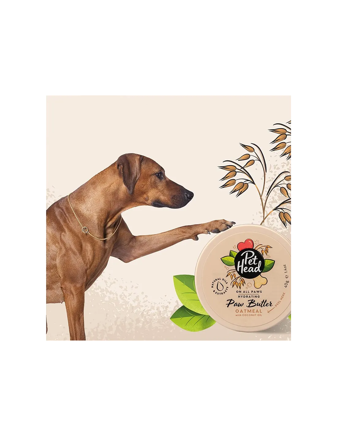 PET HEAD ON ALL PAWS MANTEQUILLA DE AVENA PARA PATAS 40 G