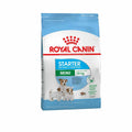 Royal Canin Mini Starter