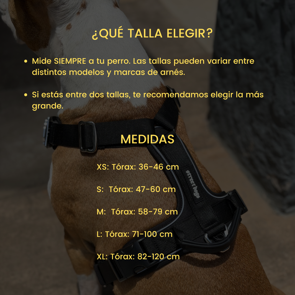 Arnés Aero Sport Blue